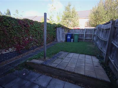 Picture 12